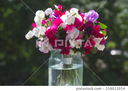 Beautiful bouquet of colorful sweet pea flowers in a glass jar outdoors under bright sunlight Beautiful bouquet of colorful sweet pea flowers in a glass jar outdoors under bright sunlight 138013014