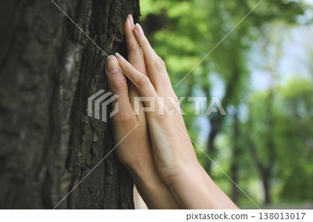 Two hands gently touching the rough bark of a tree 138013017