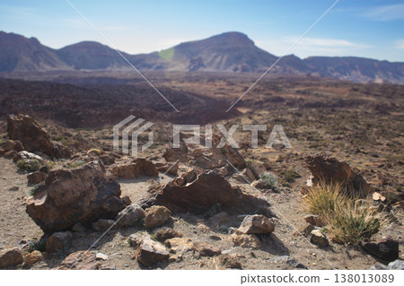 Panoramic view of volcanic terrain in Teide National Park, Tenerife Panoramic view of volcanic terrain in Teide National Park, Tenerife 138013089
