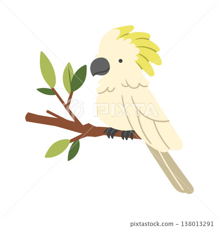 Cockatoo Perched On Branch Cartoon Cockatoo Perched On Branch Cartoon 138013291