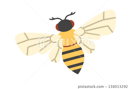 Bee Flying With Spread Wings Bee Flying With Spread Wings 138013292