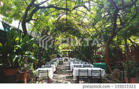 Charming outdoor restaurant terrace shaded by a lush green vine pergola in Italy Charming outdoor restaurant terrace shaded by a lush green vine pergola in Italy 138013323