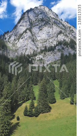 Majestic limestone mountain peak with evergreen forest and green meadows Majestic limestone mountain peak with evergreen forest and green meadows 138013335