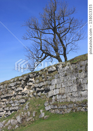 Ancient ruined stone wall with a lonely bare tree against a clear blue sky Ancient ruined stone wall with a lonely bare tree against a clear blue sky 138013355