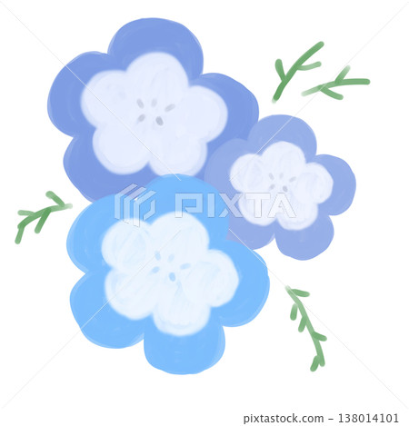 Cute nemophila 138014101