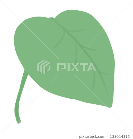 Simple leaf illustration 138014315