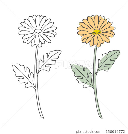 Hand-painted style gerbera, natural orange flower Hand-painted style gerbera, natural orange flower 138014772
