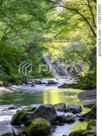 A stream bathed in sunlight A stream bathed in sunlight 138014889
