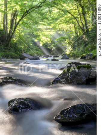 A stream bathed in sunlight A stream bathed in sunlight 138014890