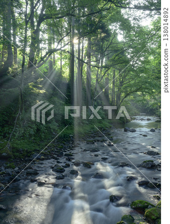 A stream bathed in sunlight A stream bathed in sunlight 138014892