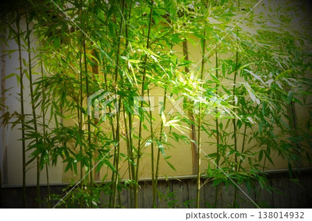 背景素材為竹子和日式牆壁，沐浴在柔和的光線中。 138014932