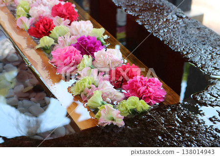 Spring flower hand water Spring flower hand water 138014943