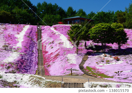 Shibazakura Park 138015570