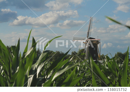 Traditional Dutch windmill standing in a cornfield under a cloudy sky Traditional Dutch windmill standing in a cornfield under a cloudy sky 138015732