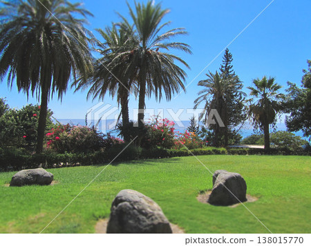 Scenic garden view overlooking the Sea of Galilee 138015770