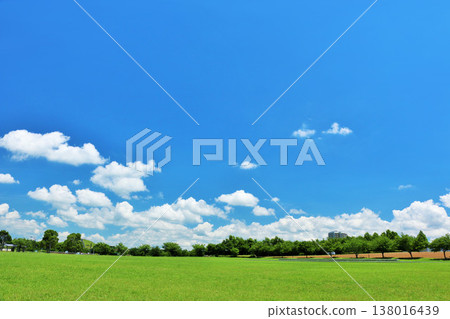 清新的夏天藍天和公園風景 138016439