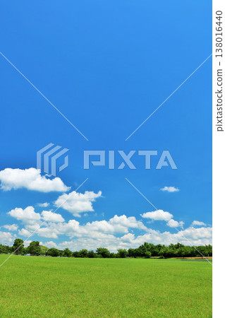 清新的夏天藍天和公園風景 清新的夏天藍天和公園風景 138016440