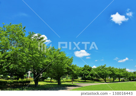 A refreshing summer blue sky and park scenery A refreshing summer blue sky and park scenery 138016443
