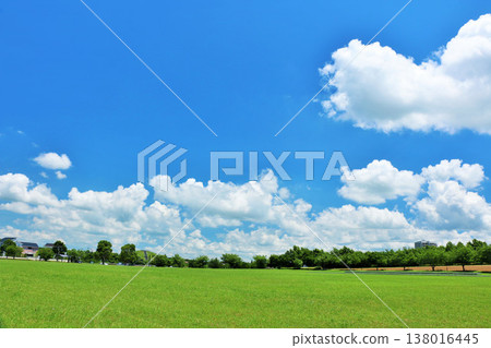 A refreshing summer blue sky and park scenery 138016445