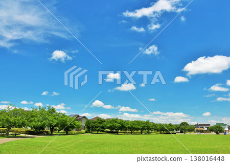 清新的夏天藍天和公園風景 清新的夏天藍天和公園風景 138016448