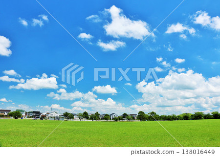 A refreshing summer blue sky and park scenery A refreshing summer blue sky and park scenery 138016449
