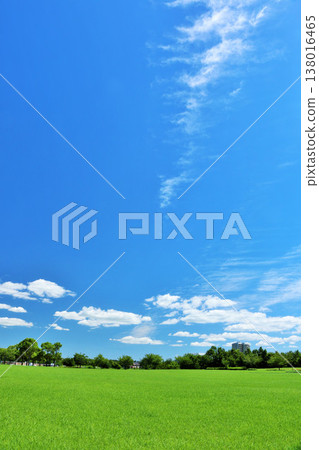 A refreshing summer blue sky and park scenery 138016465