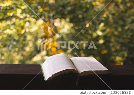 Open book on a wooden ledge against a blurred autumn forest Open book on a wooden ledge against a blurred autumn forest 138016528