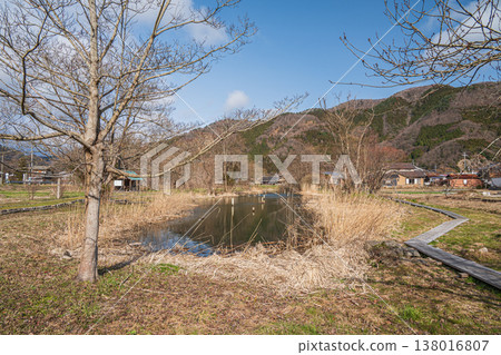 Landscape of Nishiuchi Marsh, Makino Town, Takashima City, Shiga Prefecture 138016807