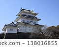 Odawara Castle 138016855