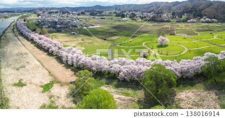 Aerial view of Kitakami Tenshochi Park in Iwate Prefecture, where cherry blossoms are in full bloom. Aerial view of Kitakami Tenshochi Park in Iwate Prefecture, where cherry blossoms are in full bloom. 138016914
