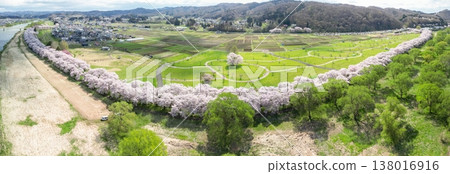 從空中俯瞰岩手縣北上天照地公園,櫻花正值盛開期。 從空中俯瞰岩手縣北上天照地公園,櫻花正值盛開期。 138016916