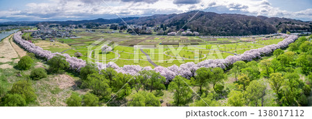 從空中俯瞰岩手縣北上天照地公園,櫻花正值盛開期。 從空中俯瞰岩手縣北上天照地公園,櫻花正值盛開期。 138017112