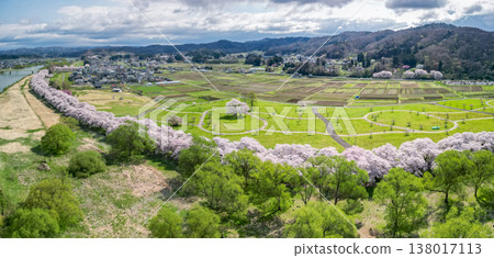 Aerial view of Kitakami Tenshochi Park in Iwate Prefecture, where cherry blossoms are in full bloom. Aerial view of Kitakami Tenshochi Park in Iwate Prefecture, where cherry blossoms are in full bloom. 138017113
