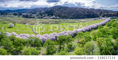 Aerial view of Kitakami Tenshochi Park in Iwate Prefecture, where cherry blossoms are in full bloom. Aerial view of Kitakami Tenshochi Park in Iwate Prefecture, where cherry blossoms are in full bloom. 138017114