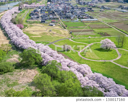 Aerial view of Kitakami Tenshochi Park in Iwate Prefecture, where cherry blossoms are in full bloom. Aerial view of Kitakami Tenshochi Park in Iwate Prefecture, where cherry blossoms are in full bloom. 138017160