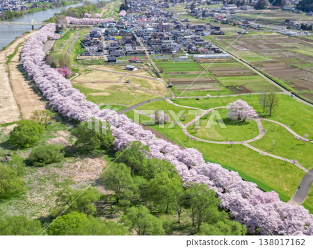 Aerial view of Kitakami Tenshochi Park in Iwate Prefecture, where cherry blossoms are in full bloom. Aerial view of Kitakami Tenshochi Park in Iwate Prefecture, where cherry blossoms are in full bloom. 138017162