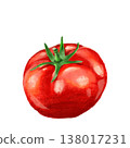 A fresh tomato illustration painted in watercolor. 138017231