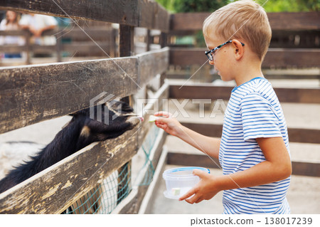 Boy Feeding Goat at Outdoor Animal Enclosure Boy Feeding Goat at Outdoor Animal Enclosure 138017239