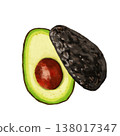 Avocado painted in watercolor 138017347