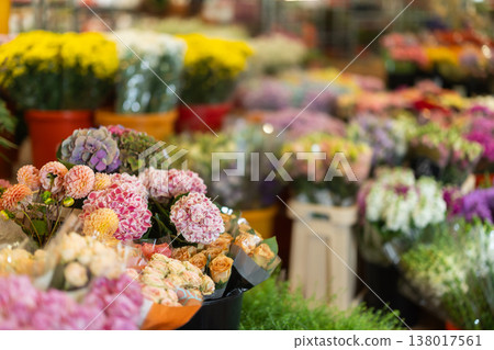 Showcase in flower shop, bundles bunches of cut flowers hydrangeas, dahlias Showcase in flower shop, bundles bunches of cut flowers hydrangeas, dahlias 138017561