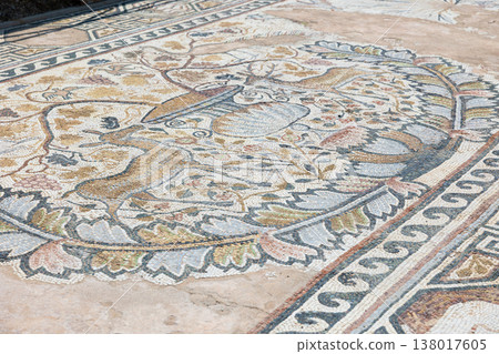 Preserved mosaic flooring at Heraclea Lyncestis, North Macedonia Preserved mosaic flooring at Heraclea Lyncestis, North Macedonia 138017605