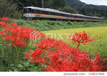 彼岸花和身延線特快列車 彼岸花和身延線特快列車 138017908