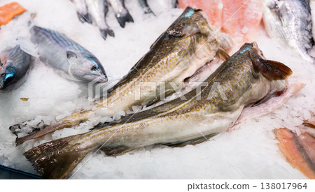 Raw cod fish on ice at fish market counter Raw cod fish on ice at fish market counter 138017964