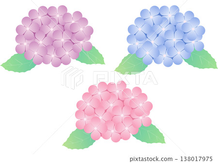 A simple set of hydrangea flowers and leaves for the rainy season | Hydrangea, Flower, Leaf, Plant A simple set of hydrangea flowers and leaves for the rainy season | Hydrangea, Flower, Leaf, Plant 138017975