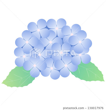 Simple decorative material of hydrangea flowers and leaves for the rainy season | Hydrangea, Flower, Leaf, Plant 138017976