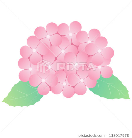 Simple decorative material of hydrangea flowers and leaves for the rainy season | Hydrangea, Flower, Leaf, Plant Simple decorative material of hydrangea flowers and leaves for the rainy season | Hydrangea, Flower, Leaf, Plant 138017978