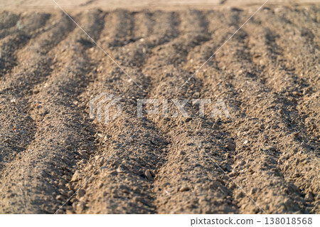 原野 田地 領域 138018568