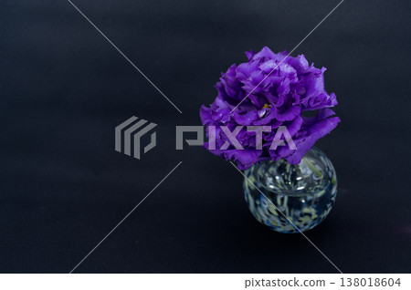 A single purple, double-flowered lisianthus with fringes is placed in a cool-toned vase against a black background (positioned on the right). 138018604