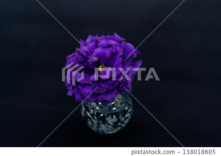 一朵紫色重瓣洋桔梗，花瓣邊緣有流蘇，插在冷色調的花瓶中，背景是黑色（位於中心位置）。 138018605