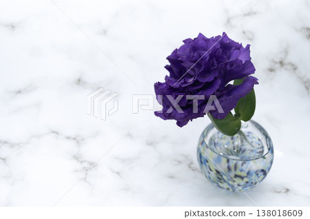 A single purple, fringed, double-flowered lisianthus in a cool-toned vase against a bright background (positioned on the right). A single purple, fringed, double-flowered lisianthus in a cool-toned vase against a bright background (positioned on the right). 138018609